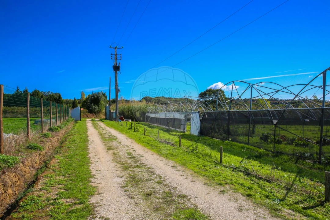 Quinta T0 para Venda em Aldeia Galega da Merceana e Aldeia Gavinha Foto 10