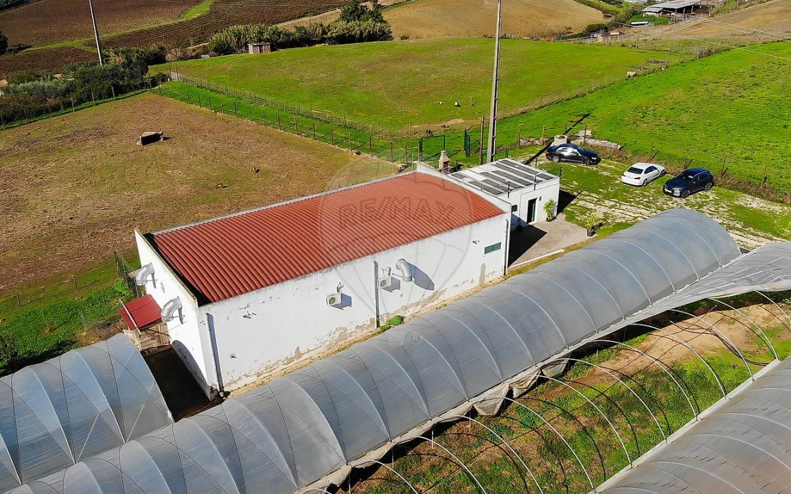 Quinta T0 para Venda em Aldeia Galega da Merceana e Aldeia Gavinha Foto 35