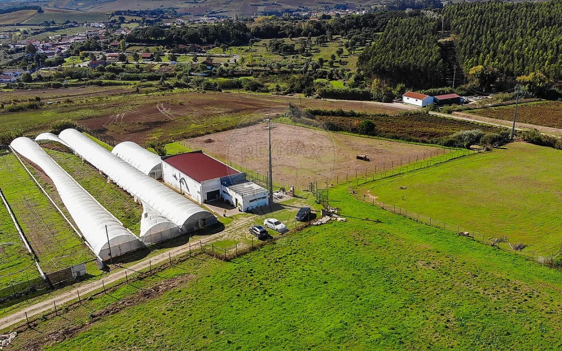 Quinta T0 para Venda em Aldeia Galega da Merceana e Aldeia Gavinha Foto 43