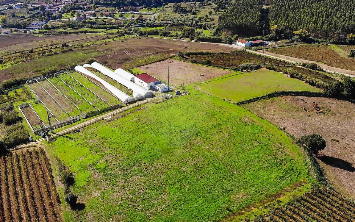 Quinta T0 para Venda em Aldeia Galega da Merceana e Aldeia Gavinha Foto 44