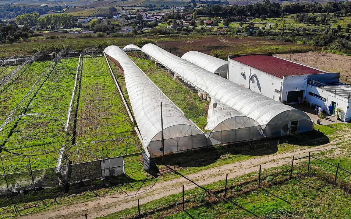 Quinta T0 para Venda em Aldeia Galega da Merceana e Aldeia Gavinha Foto 31