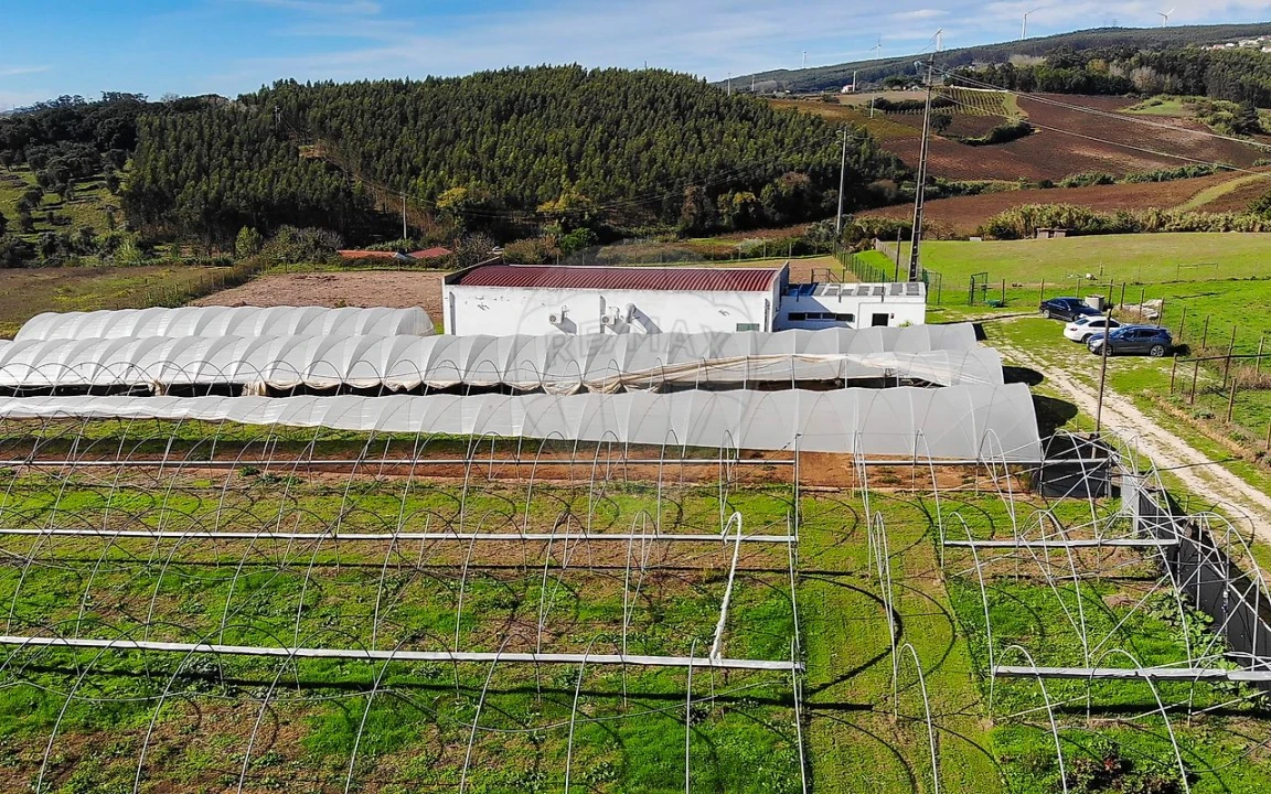 Quinta T0 para Venda em Aldeia Galega da Merceana e Aldeia Gavinha Foto 40