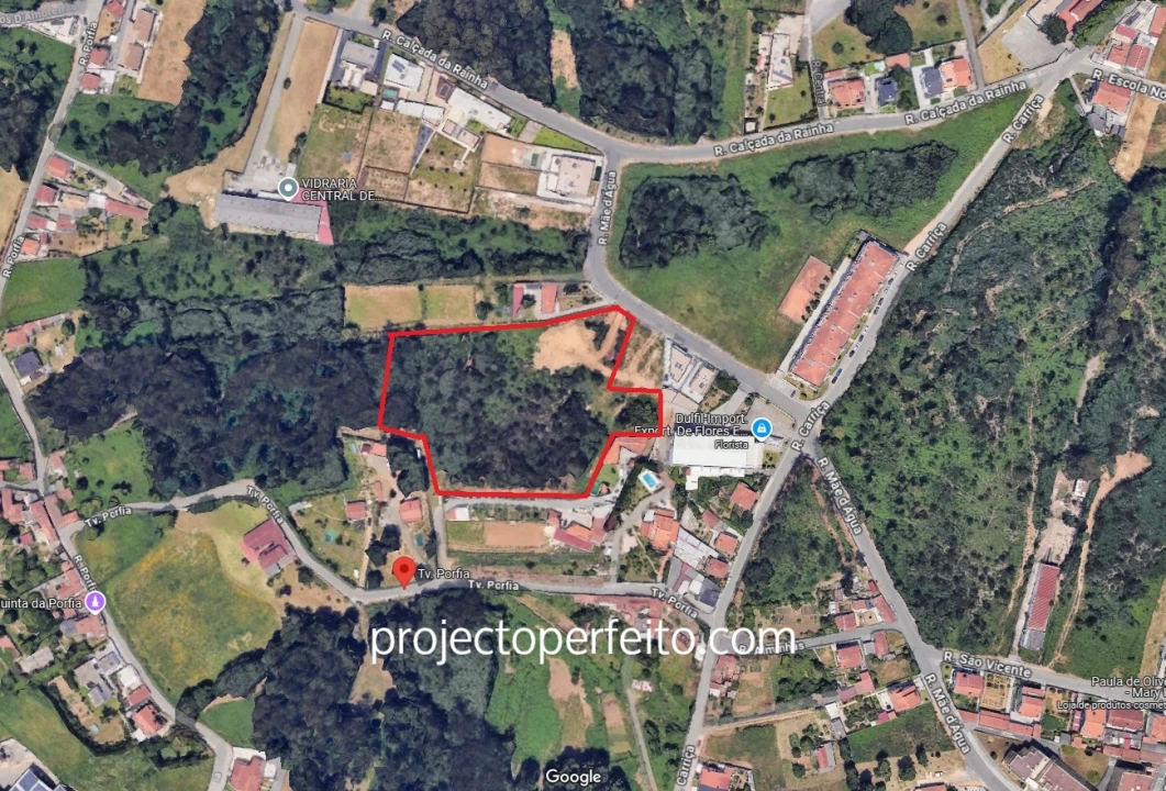 Terreno para Venda em Grijó e Sermonde Foto 4