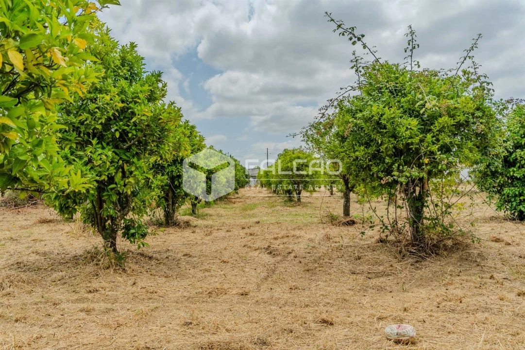 Moradia T6 para Venda em Romeira e Várzea Foto 77