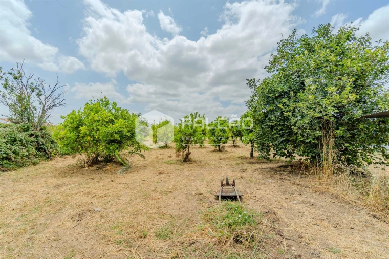 Moradia T6 para Venda em Romeira e Várzea Foto 78