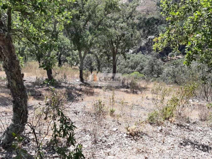 Terreno Agricola ou Rústico para Venda em Santa Clara-A-Nova e Gomes Aires Foto 5