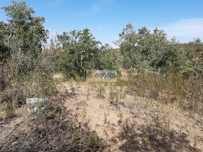 Terreno Agricola ou Rústico para Venda em Santa Clara-A-Nova e Gomes Aires Foto 14