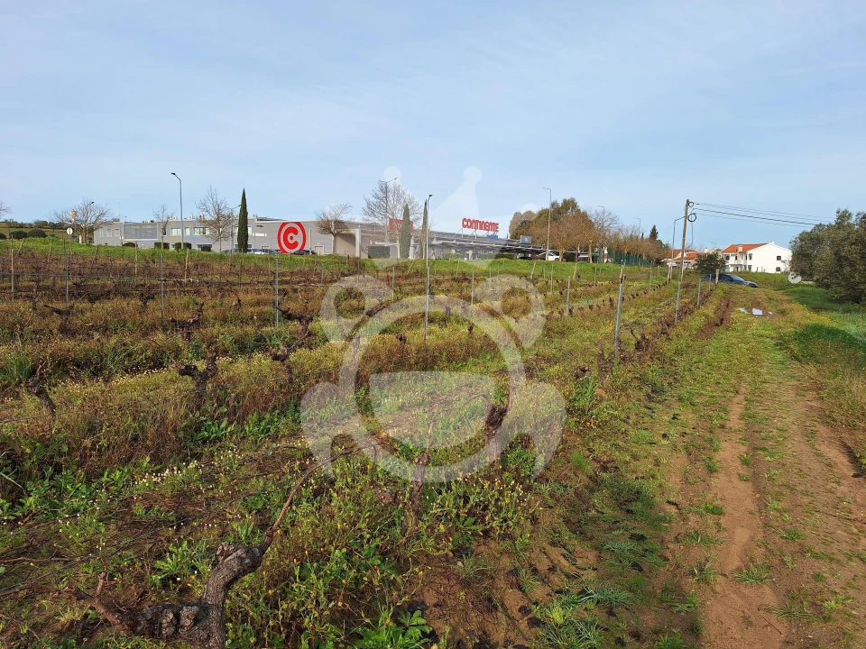 Terreno para Venda em Reguengos de Monsaraz Foto 8