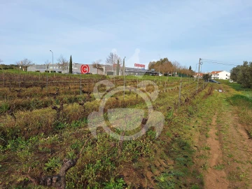 Terreno para Venda em Reguengos de Monsaraz