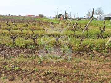 Terreno para Venda em Reguengos de Monsaraz