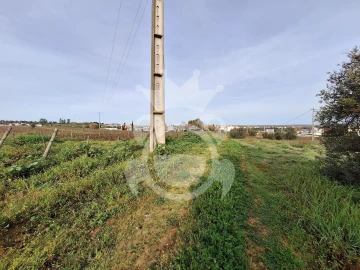 Terreno para Venda em Reguengos de Monsaraz