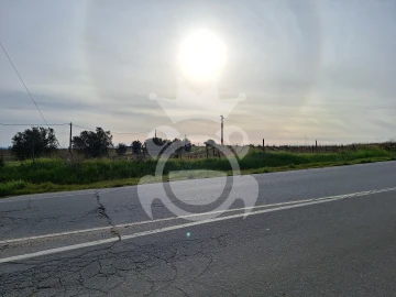 Terreno para Venda em Reguengos de Monsaraz