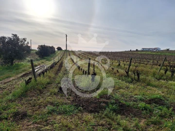 Terreno para Venda em Reguengos de Monsaraz