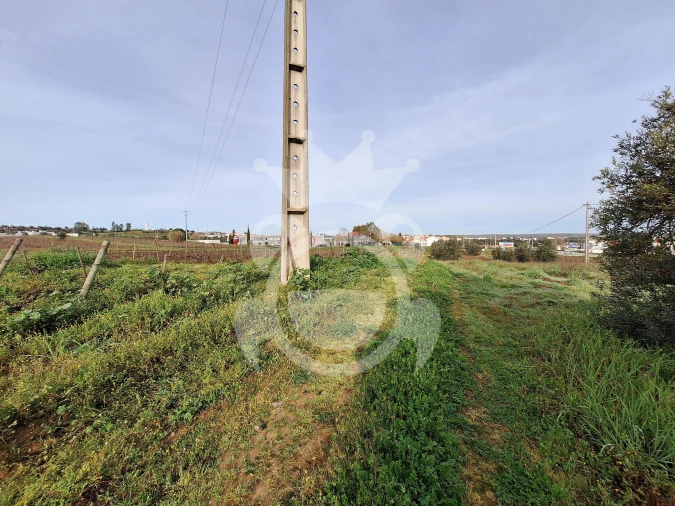 Terreno para Venda em Reguengos de Monsaraz Foto 6