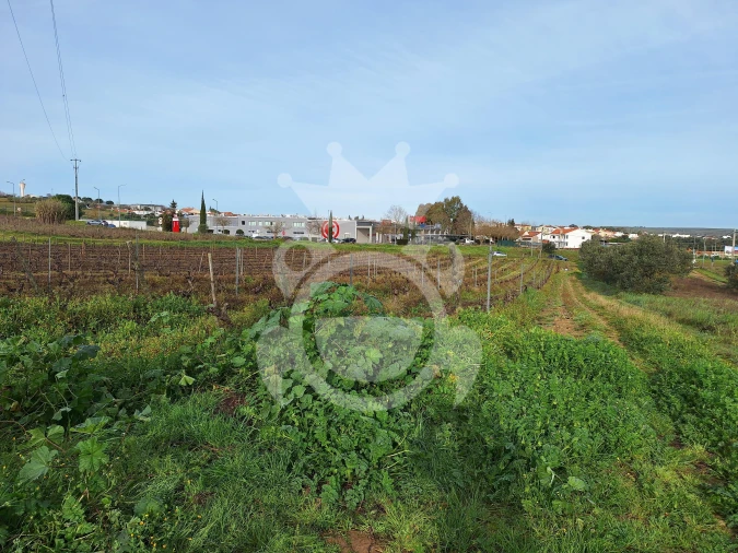 Terreno para Venda em Reguengos de Monsaraz Foto 7