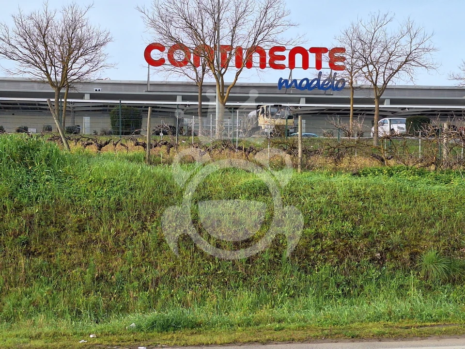 Terreno para Venda em Reguengos de Monsaraz Foto 10