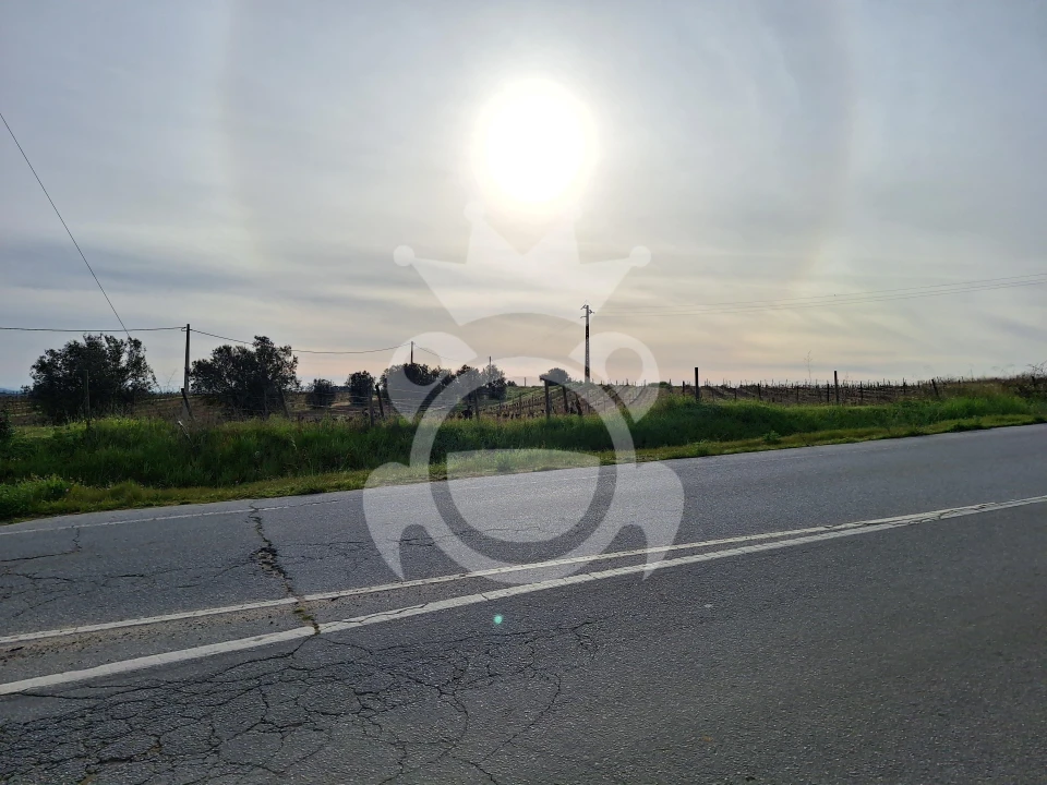 Terreno para Venda em Reguengos de Monsaraz Foto 9