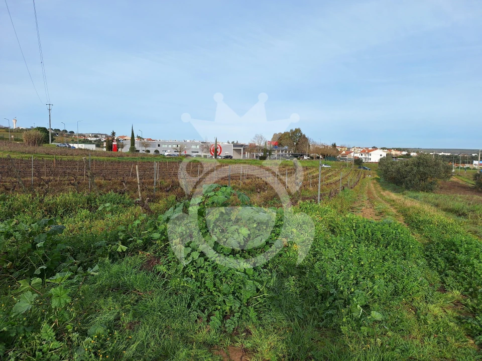 Terreno para Venda em Reguengos de Monsaraz Foto 7