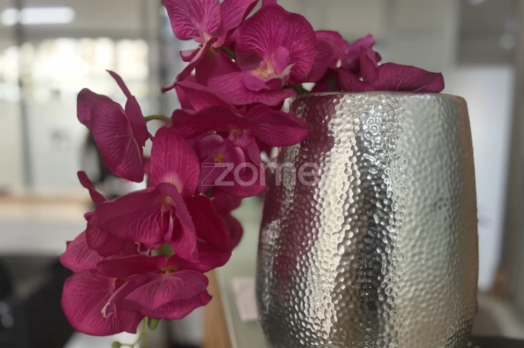 Negócio para Venda em Santa Maria Maior e Monserrate e Meadela