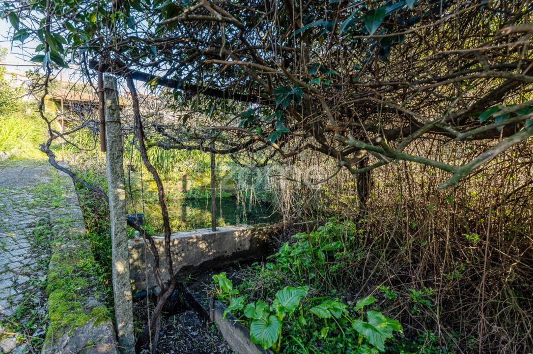 Quinta T3 para Venda em Fânzeres e São Pedro da Cova Foto 10