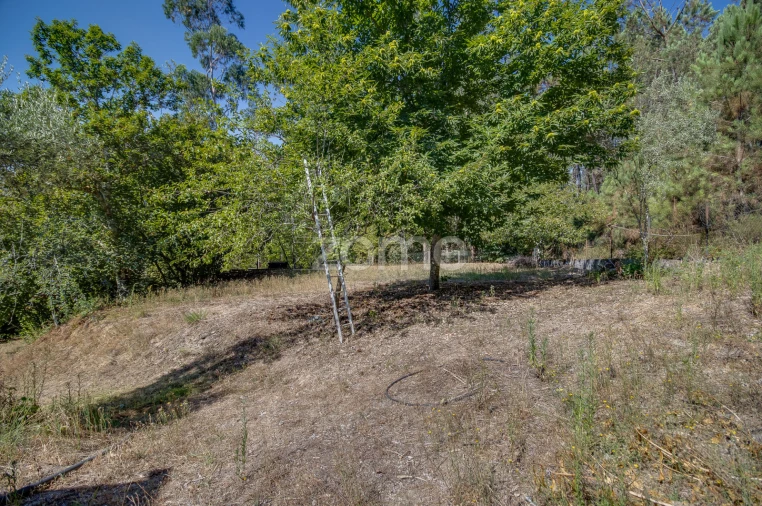 Quinta T4 para Venda em Vila Garcia, Aboim e Chapa Foto 44