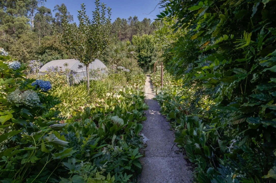 Quinta T4 para Venda em Vila Garcia, Aboim e Chapa Foto 34