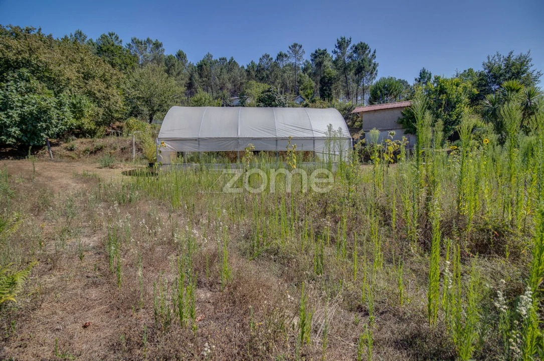 Quinta T4 para Venda em Vila Garcia, Aboim e Chapa Foto 46