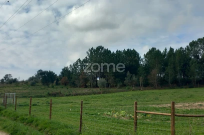 Terreno para Venda em Cartaxo e Vale da Pinta