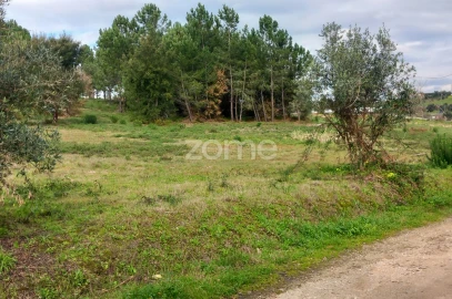 Terreno para Venda em Cartaxo e Vale da Pinta