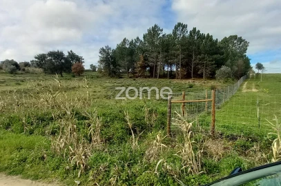 Terreno para Venda em Cartaxo e Vale da Pinta