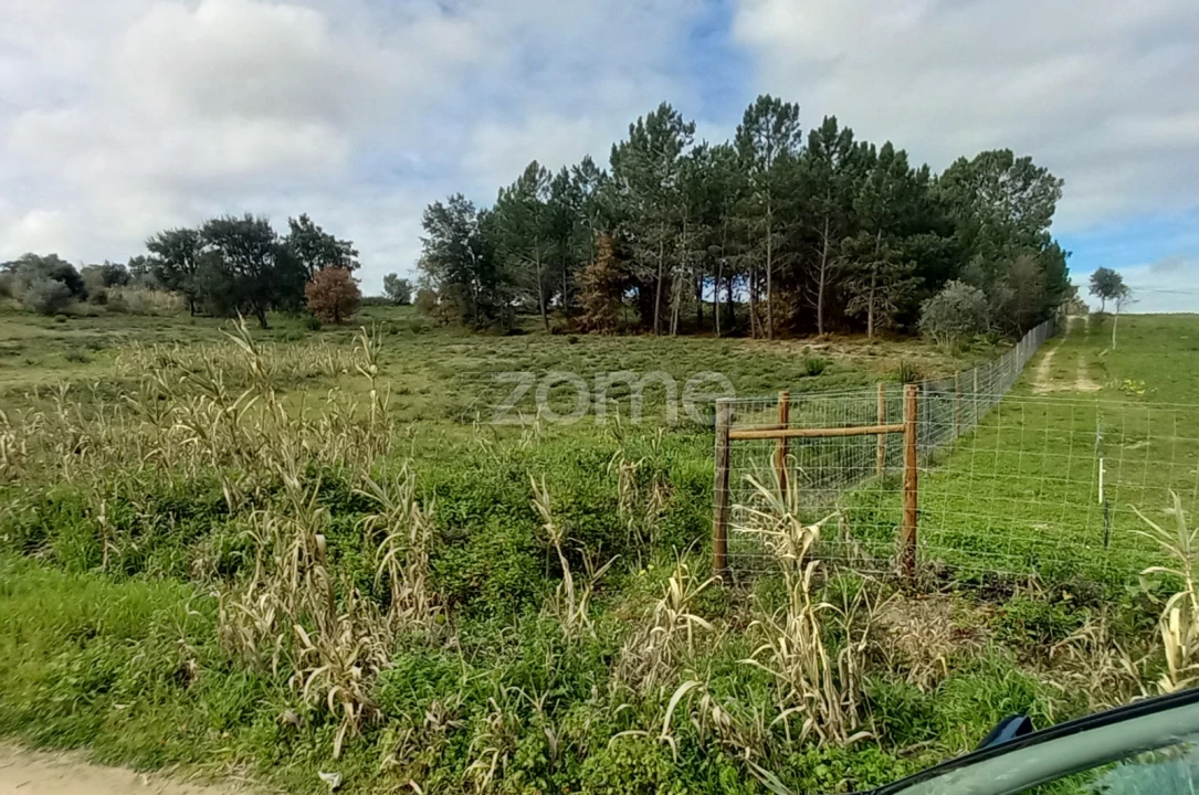Terreno para Venda em Cartaxo e Vale da Pinta Foto 2