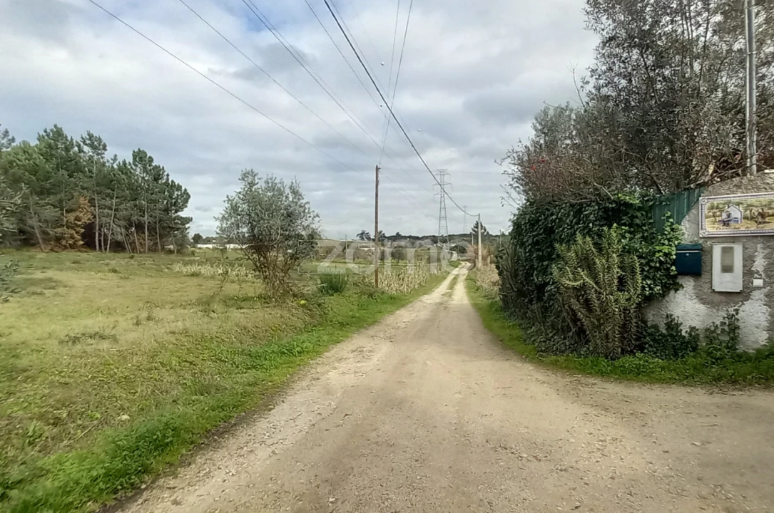Terreno para Venda em Cartaxo e Vale da Pinta Foto 8