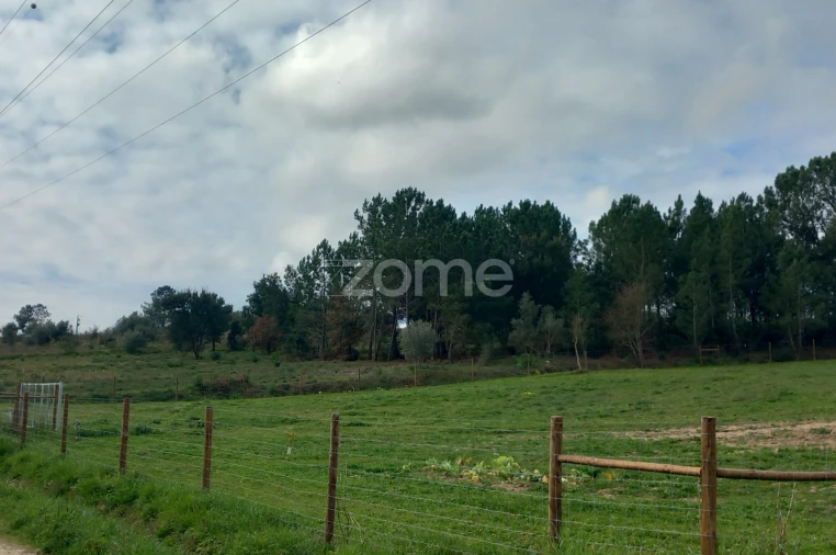 Terreno para Venda em Cartaxo e Vale da Pinta Foto 6