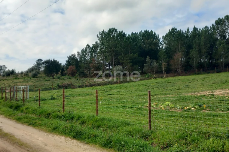 Terreno para Venda em Cartaxo e Vale da Pinta Foto 3