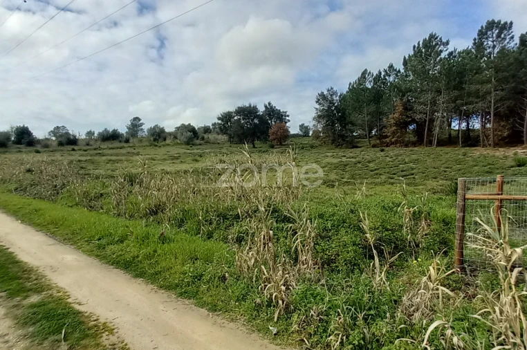 Terreno para Venda em Cartaxo e Vale da Pinta Foto 4