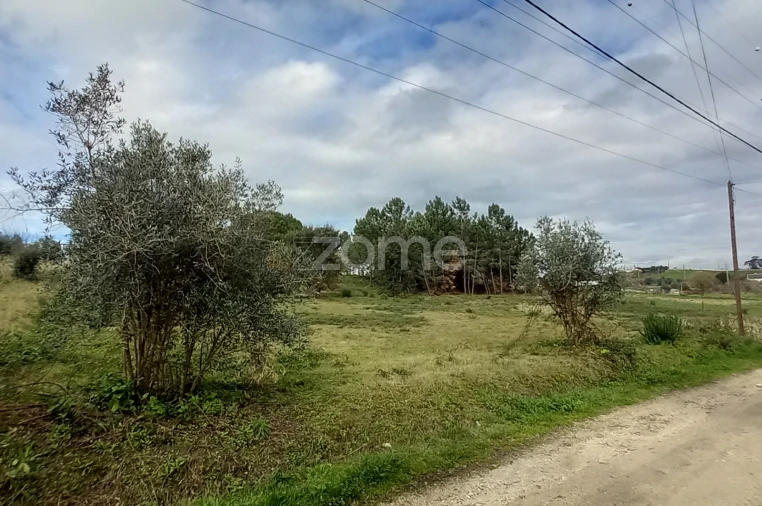 Terreno para Venda em Cartaxo e Vale da Pinta Foto 7