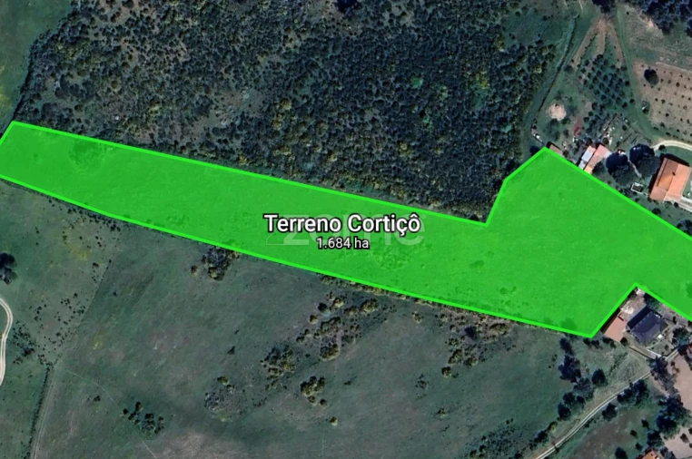 Terreno para Venda em Cortiçô da Serra, Vide Entre Vinhas e Salgueirais Foto 2