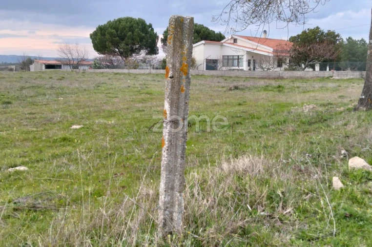 Terreno para Venda em Cortiçô da Serra, Vide Entre Vinhas e Salgueirais Foto 4