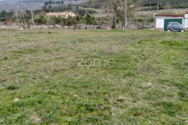 Terreno para Venda em Cortiçô da Serra, Vide Entre Vinhas e Salgueirais Foto 7