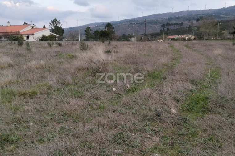 Terreno para Venda em Cortiçô da Serra, Vide Entre Vinhas e Salgueirais Foto 6