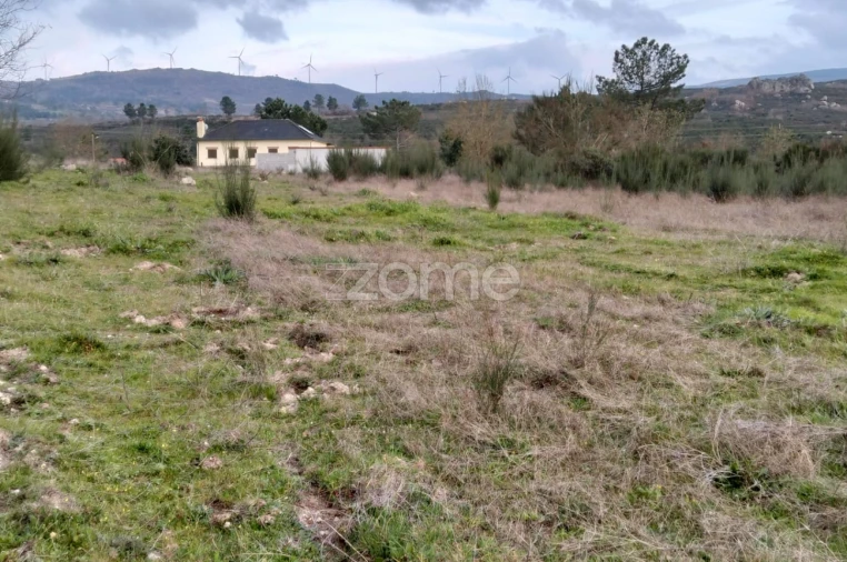 Terreno para Venda em Cortiçô da Serra, Vide Entre Vinhas e Salgueirais Foto 8