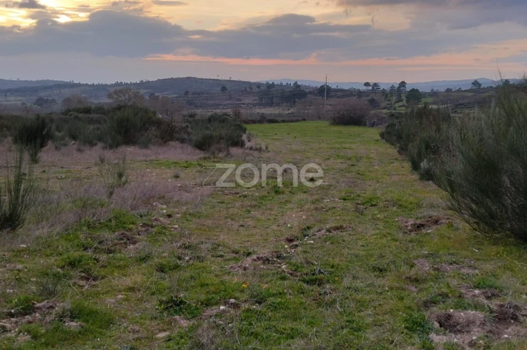 Terreno para Venda em Cortiçô da Serra, Vide Entre Vinhas e Salgueirais Foto 9