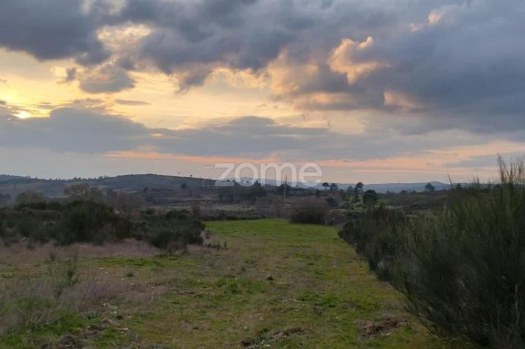 Terreno para Venda em Cortiçô da Serra, Vide Entre Vinhas e Salgueirais Foto 10