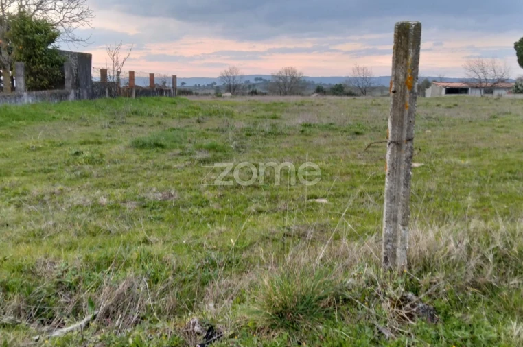 Terreno para Venda em Cortiçô da Serra, Vide Entre Vinhas e Salgueirais Foto 12