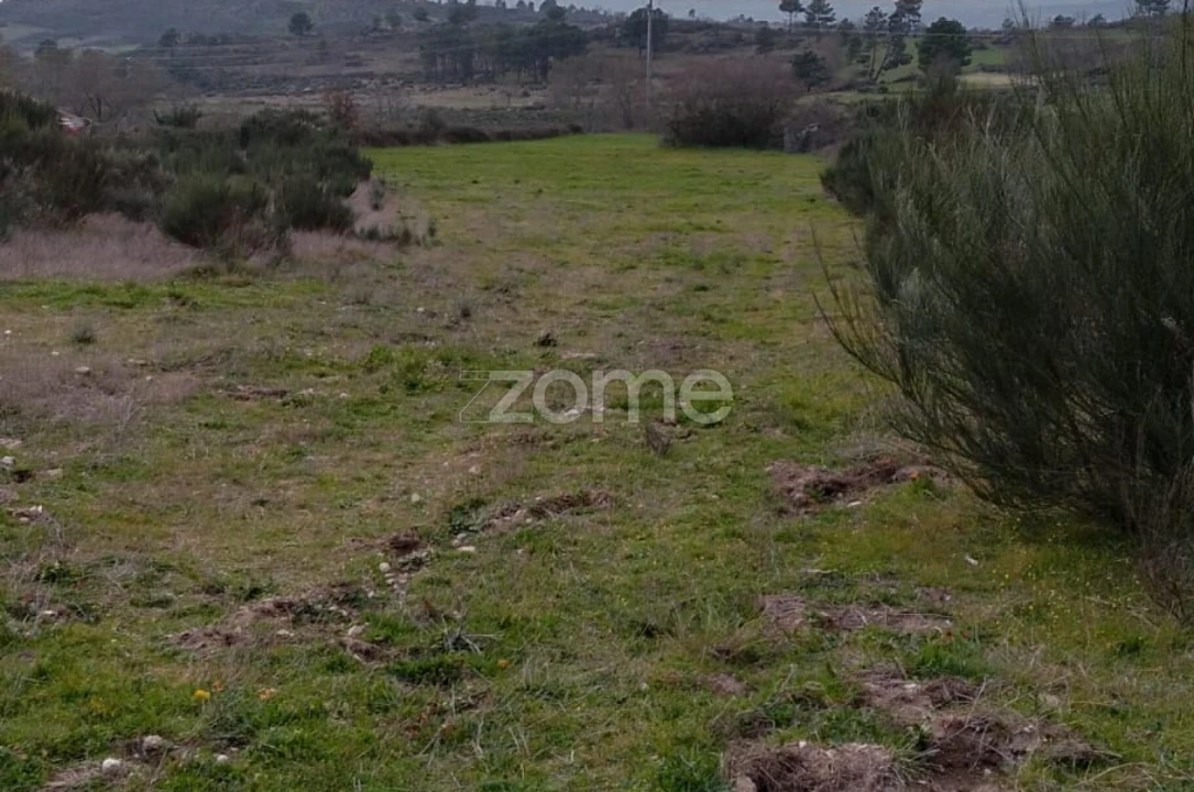 Terreno para Venda em Cortiçô da Serra, Vide Entre Vinhas e Salgueirais Foto 11
