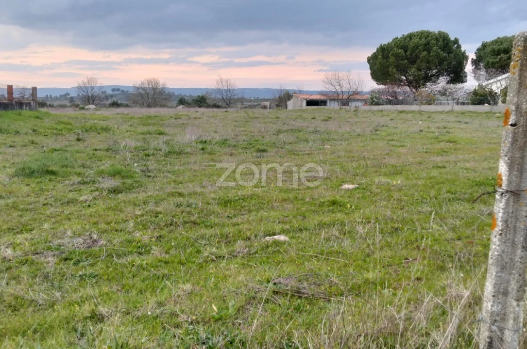 Terreno para Venda em Cortiçô da Serra, Vide Entre Vinhas e Salgueirais Foto 5
