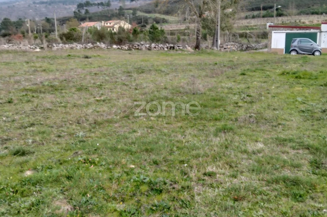 Terreno para Venda em Cortiçô da Serra, Vide Entre Vinhas e Salgueirais Foto 7