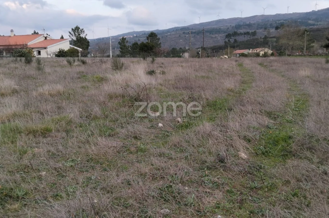 Terreno para Venda em Cortiçô da Serra, Vide Entre Vinhas e Salgueirais Foto 6