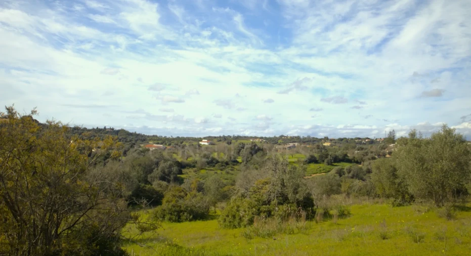 Terreno para Venda em Porches