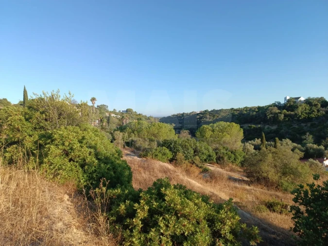 Terreno para Venda em Porches Foto 3